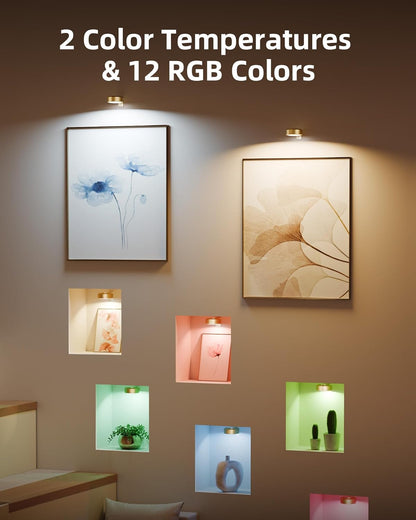 Magna Glow - Adjustable Art Display Light