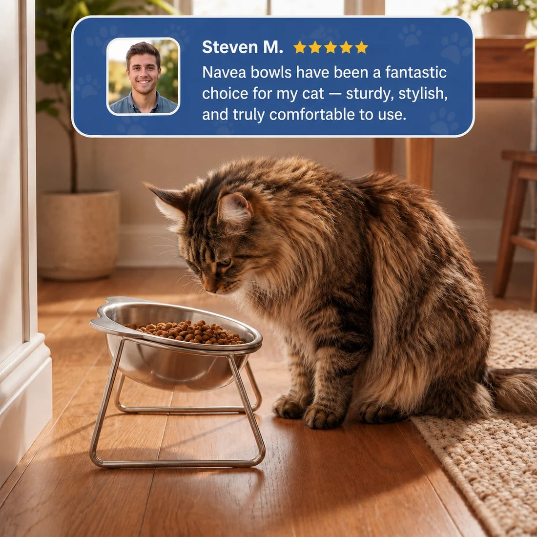 Orthopedic Feeding Bowl for Cat