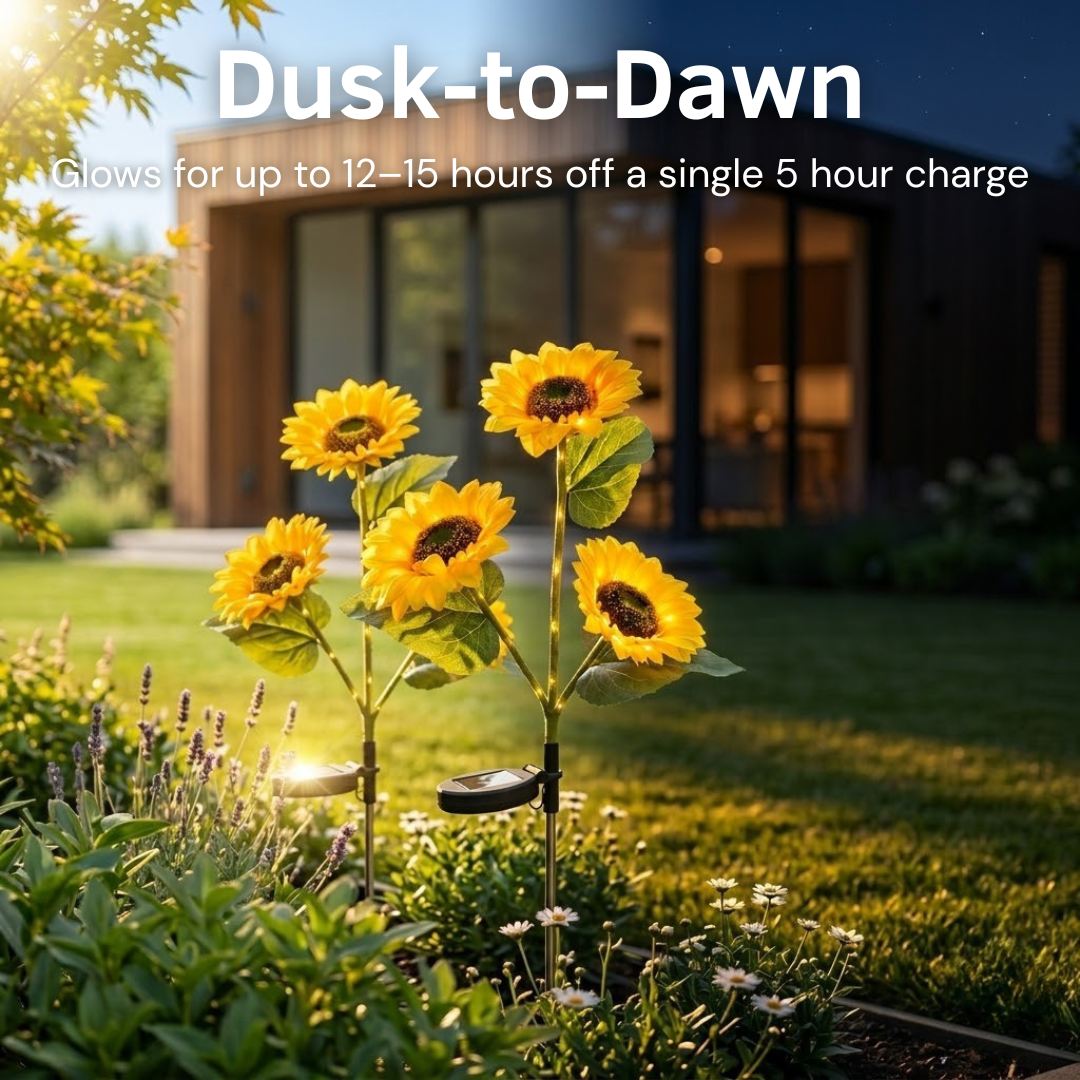 Solar-powered sunflower lights in a garden with text about their lighting duration.