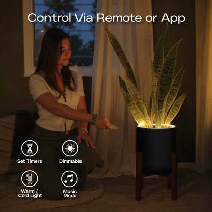 Aura | Medium Round LED Planter - Luna White
