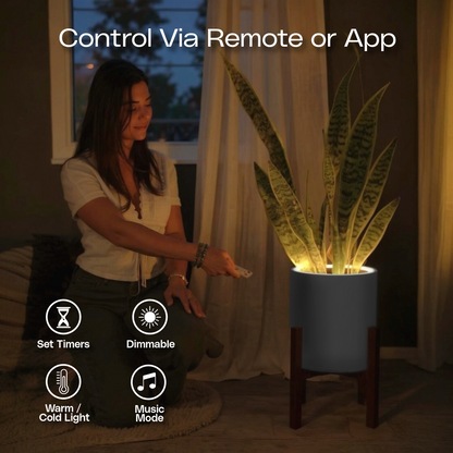 Aura | Medium Round LED Planter - Luna White