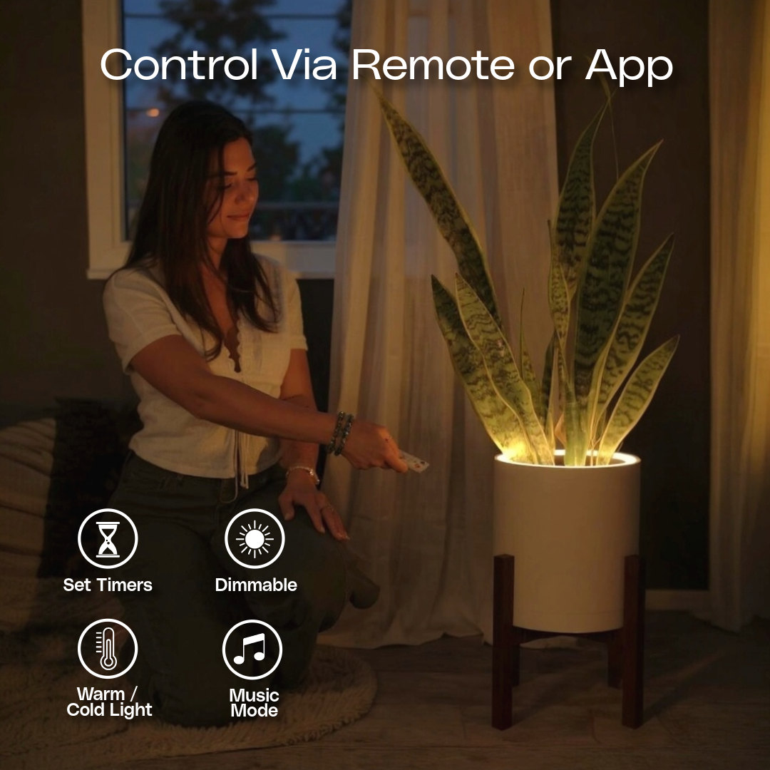 Aura | Medium Round LED Planter - Luna White