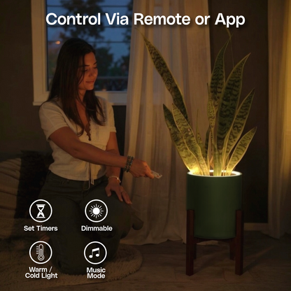 Aura | Medium Round LED Planter - Luna White