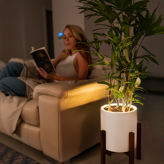 Woman reading a book on a couch next to a potted plant in a dimly lit room