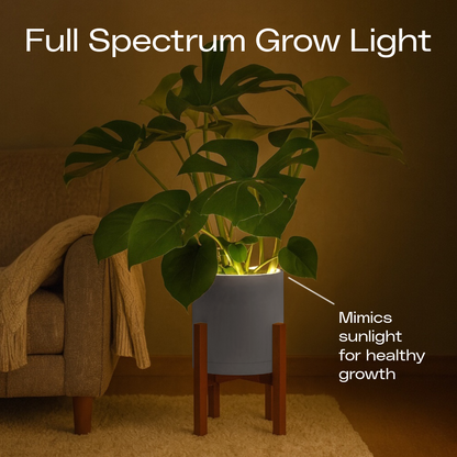 Aura | Medium Round LED Planter - Luna White