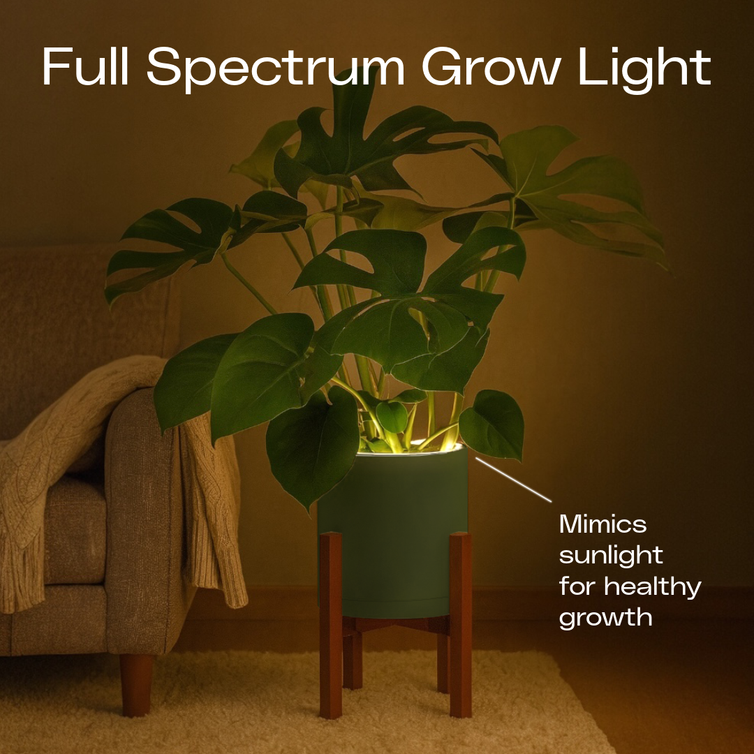 Aura | Medium Round LED Planter - Luna White