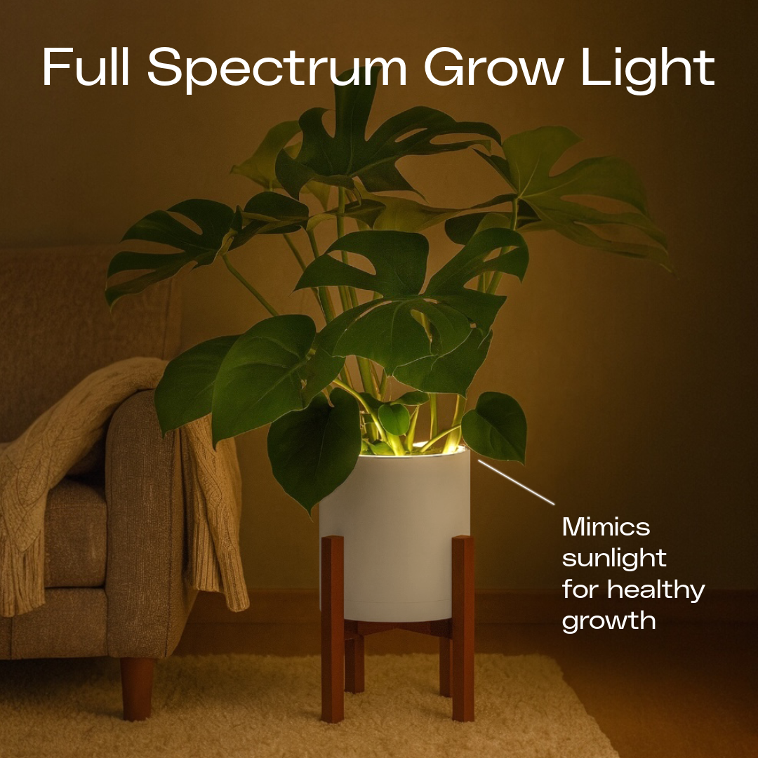 Aura | Medium Round LED Planter - Luna White