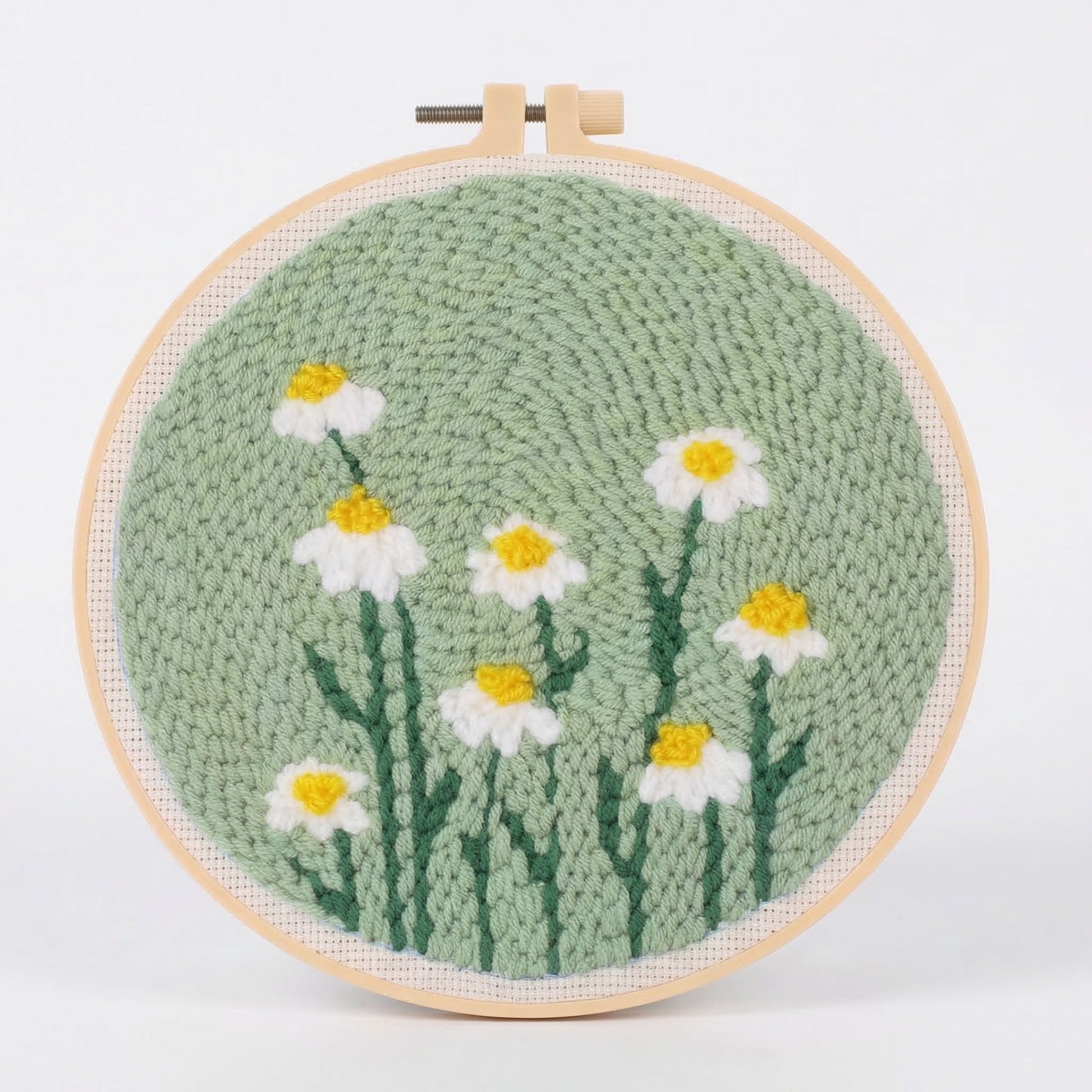 Daisy