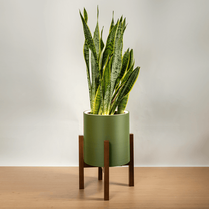 Aura | Medium Round LED Planter - Luna White