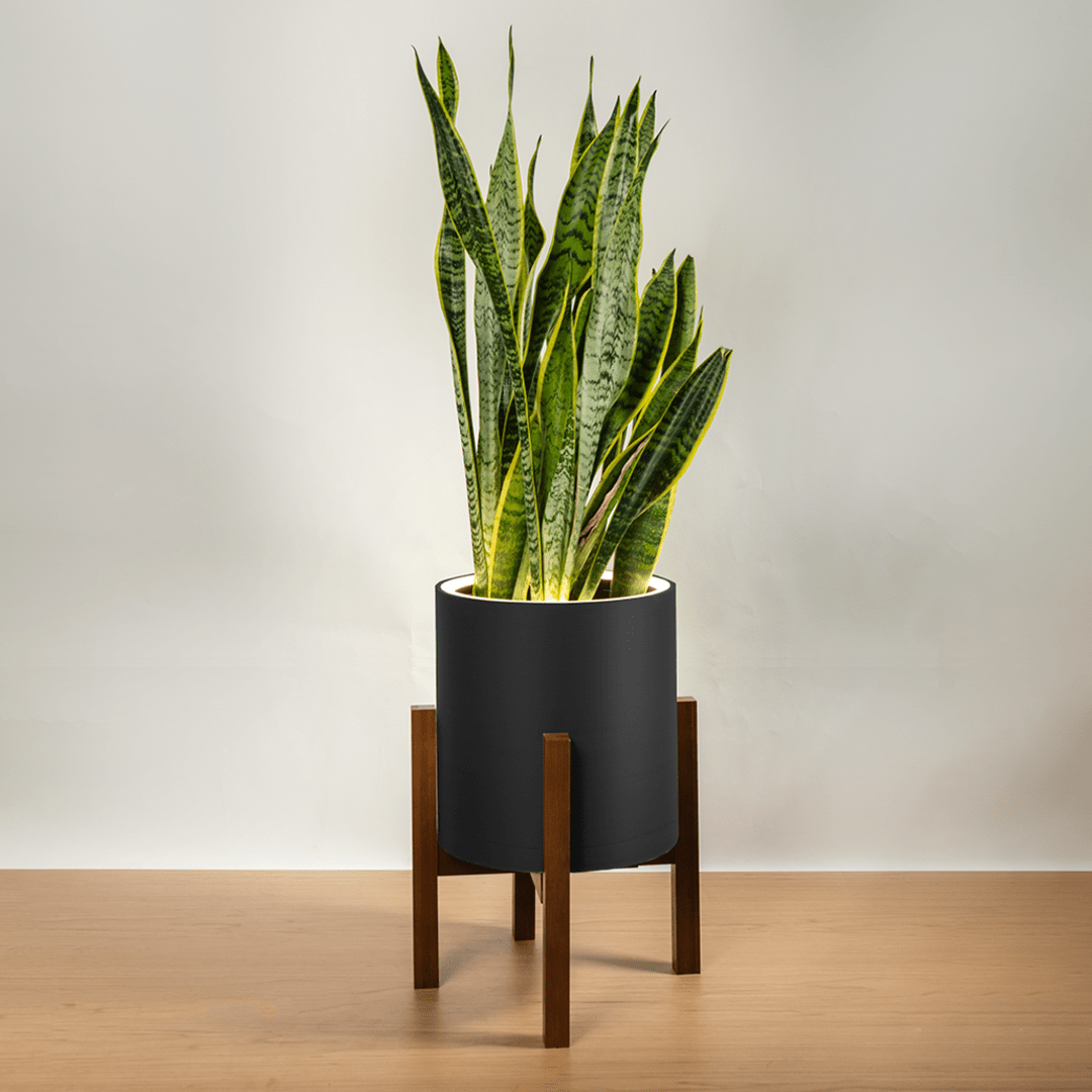 Aura | Medium Round LED Planter - Luna White