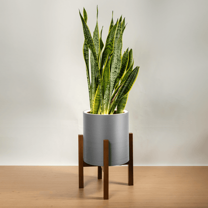 Aura | Medium Round LED Planter - Luna White