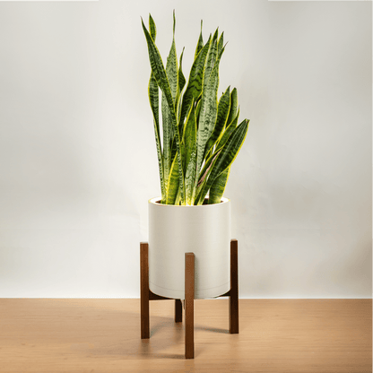 Aura | Medium Round LED Planter - Luna White