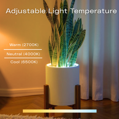 Aura | Medium Round LED Planter - Luna White